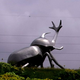 Image for article titled Beetle Queen Conquers Tokyo